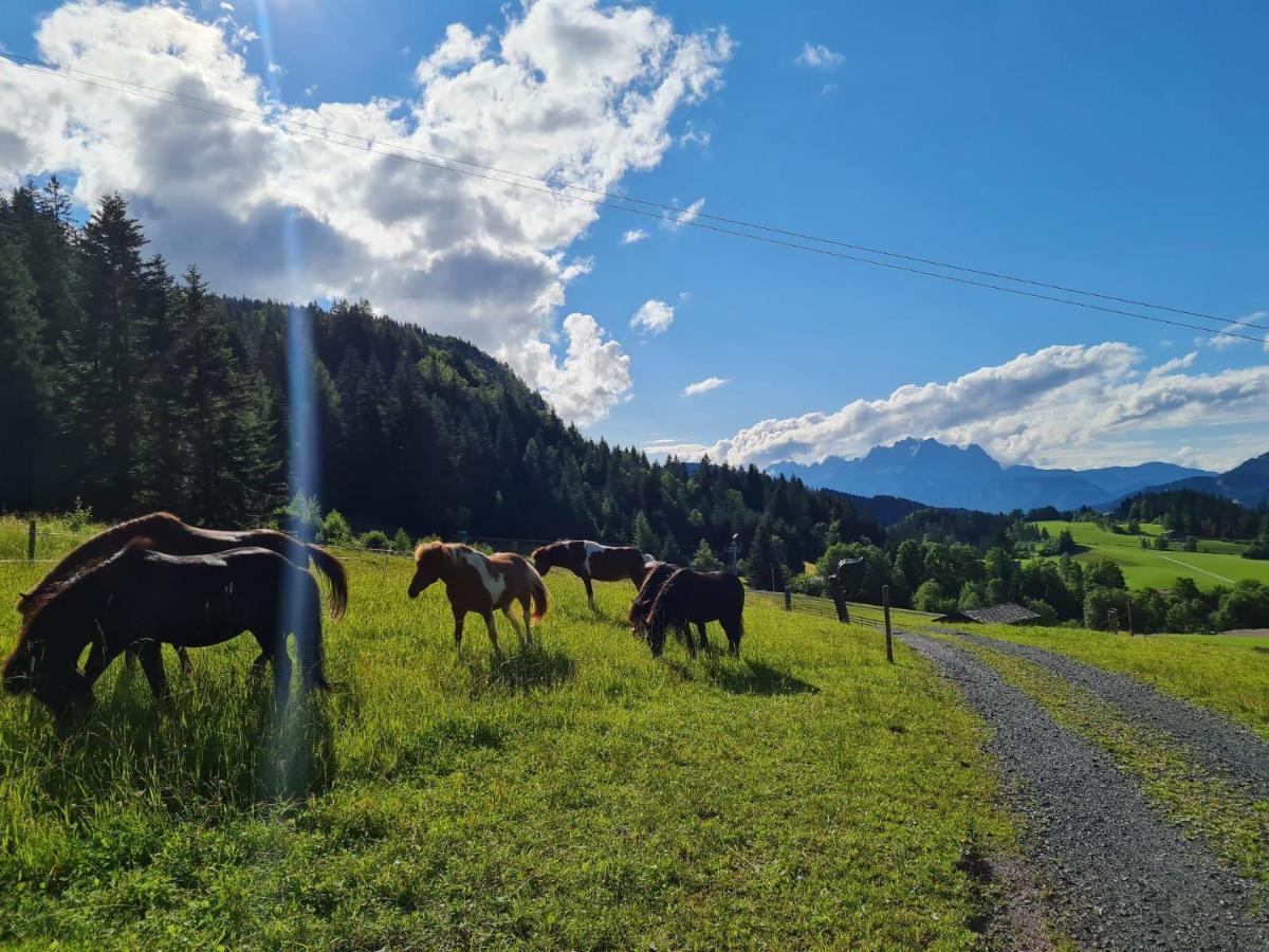 Appartamento Obinghof Fieberbrunn Esterno foto