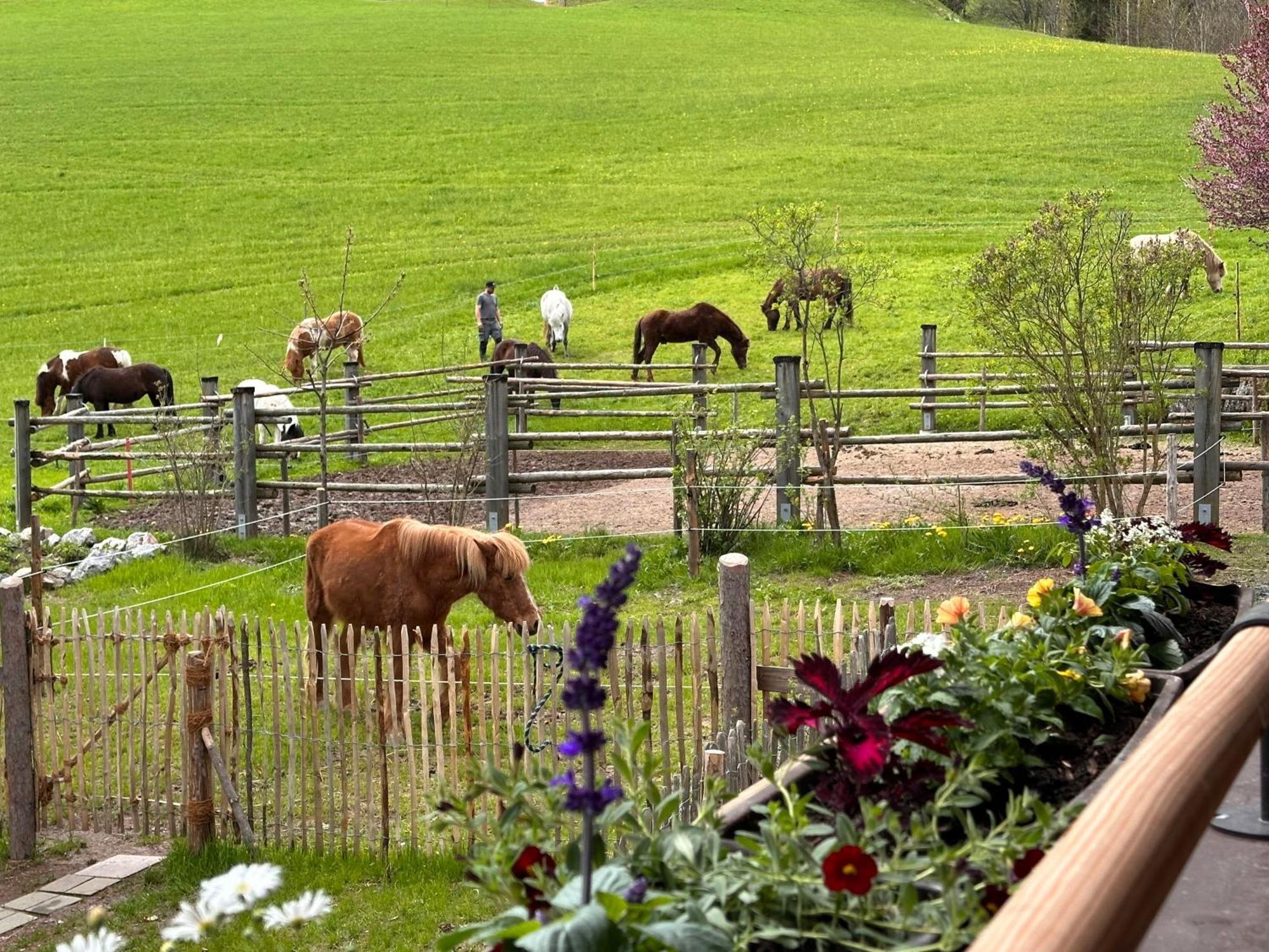 Appartamento Obinghof Fieberbrunn Esterno foto
