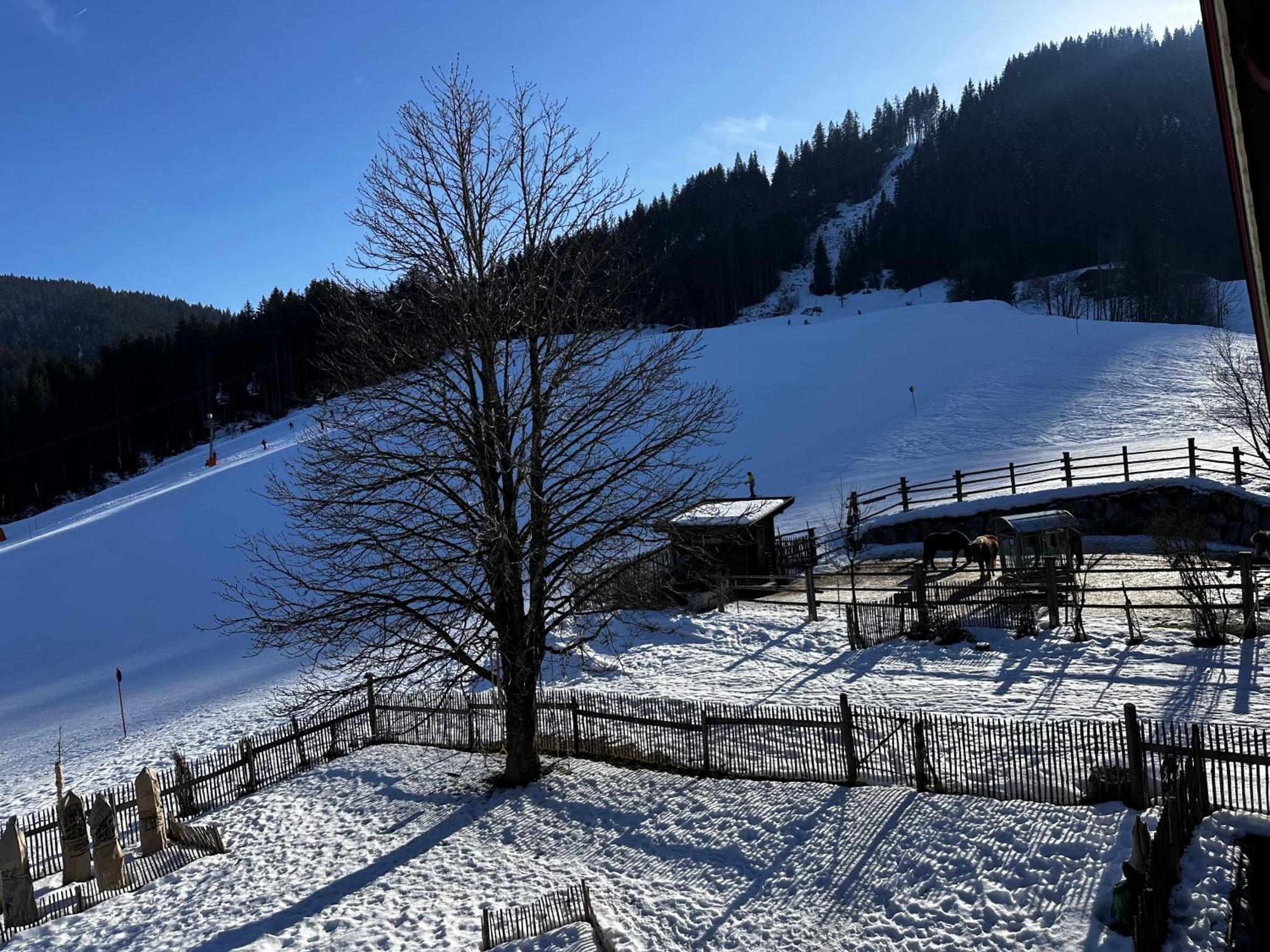 Appartamento Obinghof Fieberbrunn Esterno foto